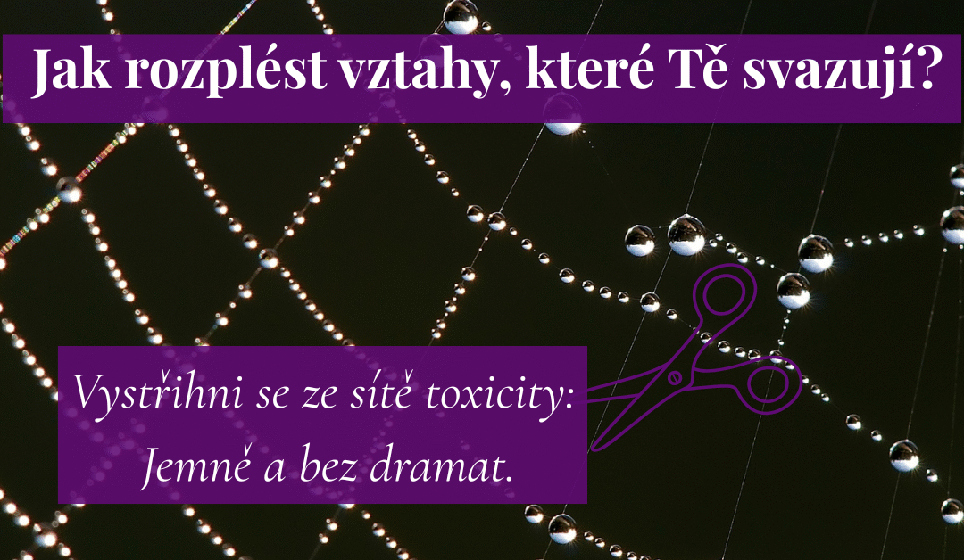 Z boje k propojení: Jak rozpoznat toxické chování a nezamotat se do sítě